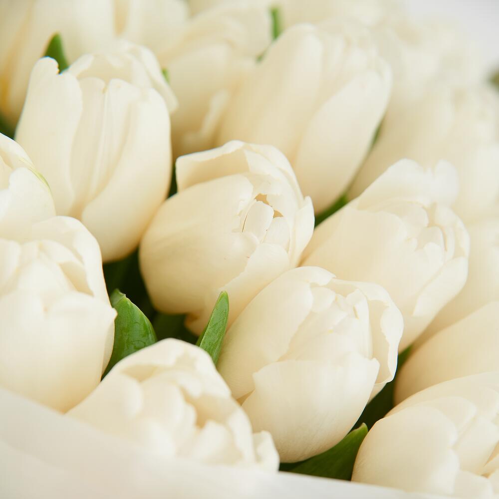 https://content3.flowwow-images.com/data/flowers/1000x1000/41/1645785689_8002141.jpg
